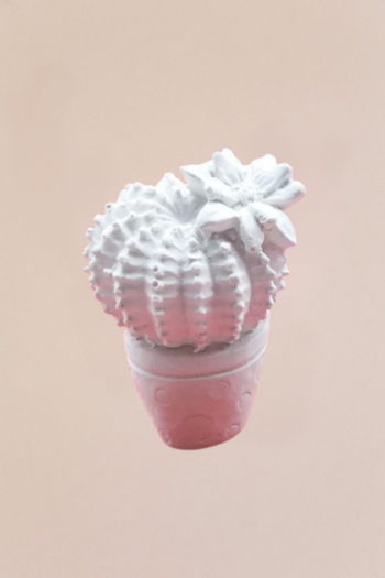Gessetto profumato a forma di Cactus
