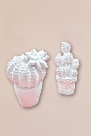 Gessetti profumati a forma di Cactus