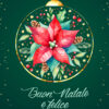 Fronte biglietto verticale Stella di Natale